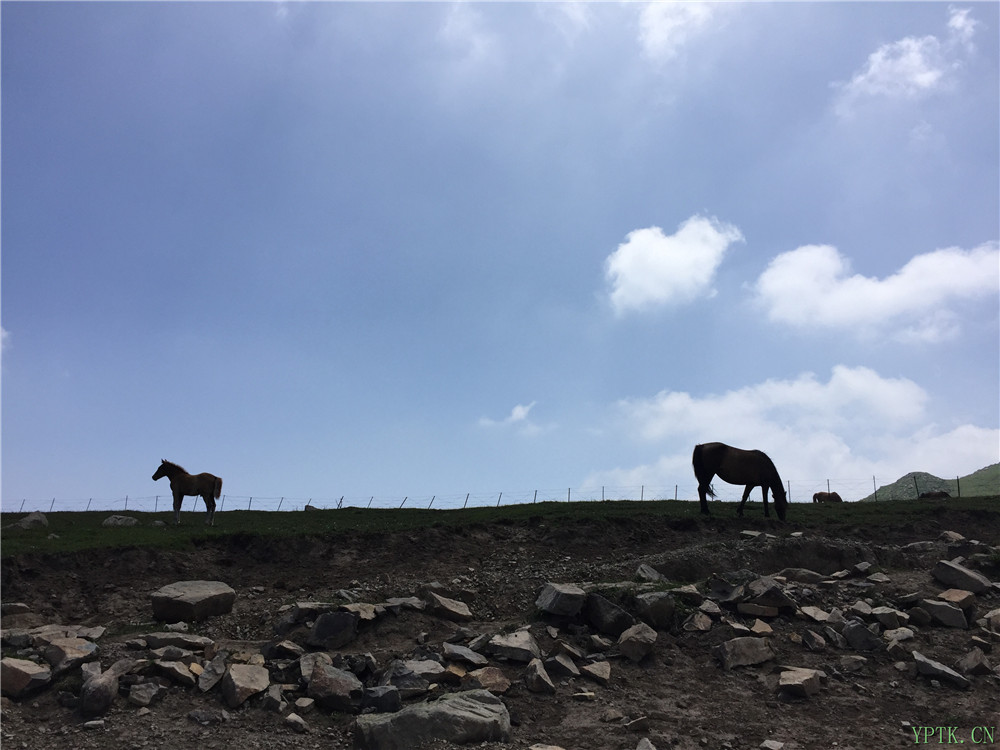 灵山20.jpg