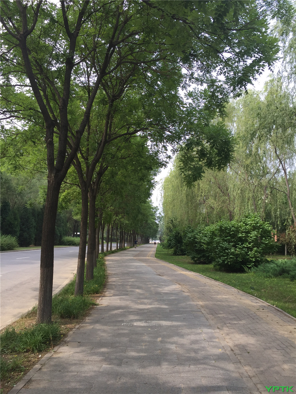 2016-06-12 092238.jpg