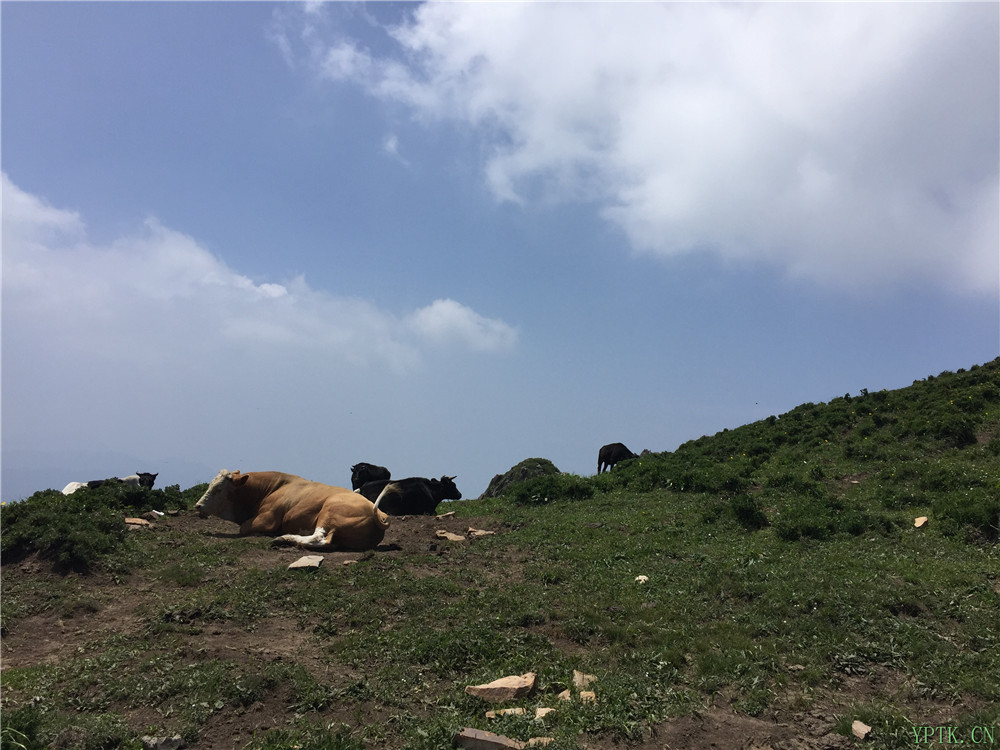 灵山23.jpg