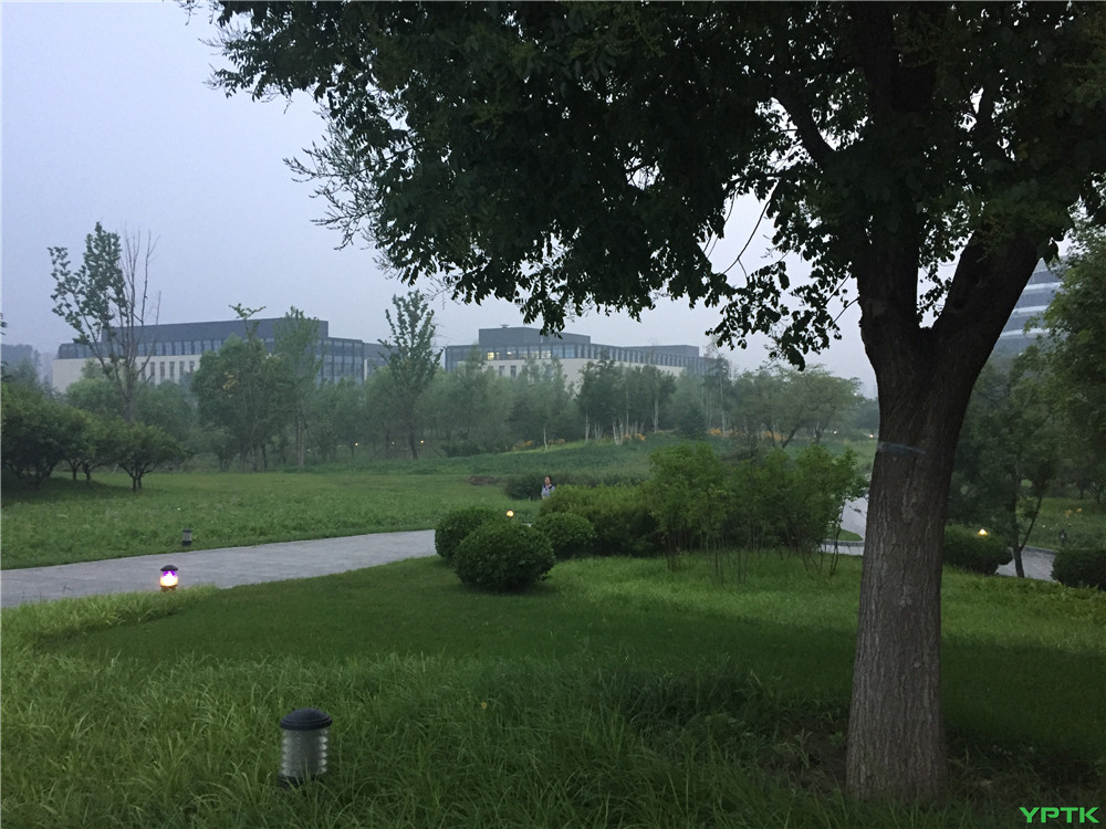 2016-06-28 193229.jpg