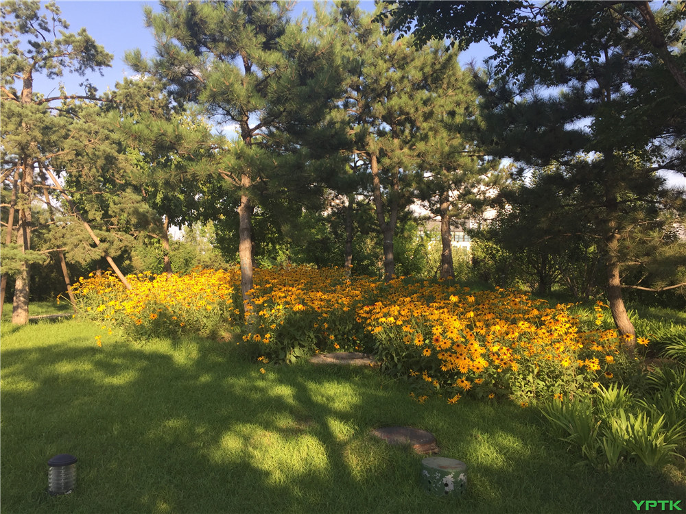 2016-07-01 175948.jpg